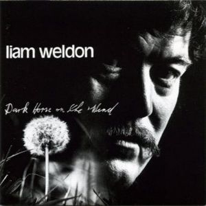 Weldon Liam - Dark Horse On The Wind in the group CD / Elektroniskt at Bengans Skivbutik AB (1968722)