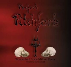 Project Pitchfork - Wonderland / One Million Faces (Rem in the group CD / CD Hardrock at Bengans Skivbutik AB (1970461)