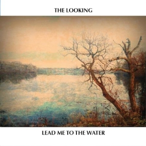 Looking - Lead Me To The Water in the group CD / Country at Bengans Skivbutik AB (1977238)