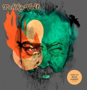 Pekka Volt - Diary Of Buck Sonnet in the group VINYL / Pop-Rock at Bengans Skivbutik AB (1981988)