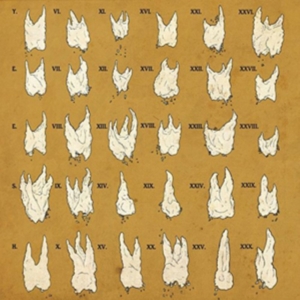 Yeesh - Confirmation Bias in the group CD / Pop-Rock at Bengans Skivbutik AB (2004746)