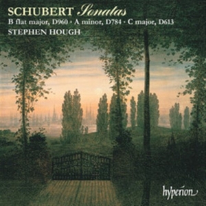 Schubert Franz - Piano Sonatas D 960, 784 & 613 in the group Externt_Lager /  at Bengans Skivbutik AB (2007806)