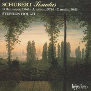 Schubert Franz - Piano Sonatas D 960, 784 & 613 in the group CD / Klassiskt at Bengans Skivbutik AB (2007806)