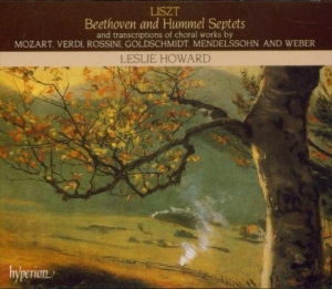 Liszt Franz - Complete Piano Works 24 /Septe in the group CD at Bengans Skivbutik AB (2007849)