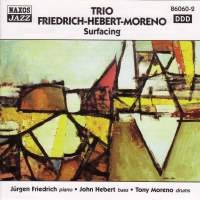 Trio Friedrich-Hebert-Moreno - Surfacing in the group CD / Jazz at Bengans Skivbutik AB (2010033)