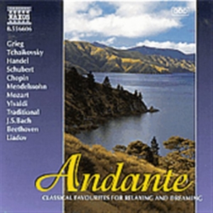 Various - Andante in the group CD / Klassiskt at Bengans Skivbutik AB (2010832)