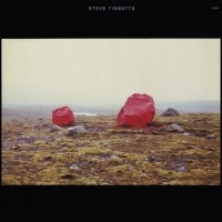 Tibbetts Steve - Exploded View in the group CD / Jazz at Bengans Skivbutik AB (2012836)