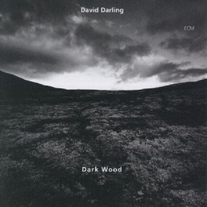 Darling David - Dark Wood in the group CD / Jazz/Blues at Bengans Skivbutik AB (2012861)