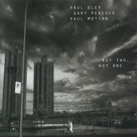 Bley Paul - Not Two, Not One in the group CD / Jazz at Bengans Skivbutik AB (2012886)