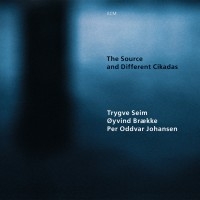 Seim Trygve - The Source And Different Cikadas in the group CD / Jazz at Bengans Skivbutik AB (2012907)