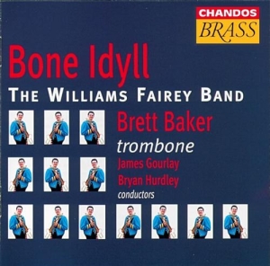 Various - Bone Idyll/Williams Fairey in the group Externt_Lager /  at Bengans Skivbutik AB (2013059)