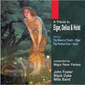 Various - Tribute To Elgar / Delius / Ho in the group Externt_Lager /  at Bengans Skivbutik AB (2013791)