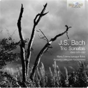 Bach - Trio Sonatas in the group CD / Klassiskt at Bengans Skivbutik AB (2016186)