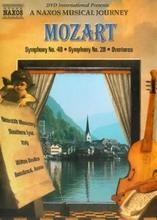Mozart Wolfgang Amadeus - Symphonies 40 & 28 in the group Externt_Lager /  at Bengans Skivbutik AB (2034474)