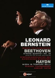 Bernstein - Conducts Beethoven / Haydn in the group Externt_Lager /  at Bengans Skivbutik AB (2035476)