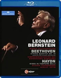Bernstein - Conducts Beethoven / Haydn (Blu-Ray in the group MUSIK / Musik Blu-Ray / Klassiskt at Bengans Skivbutik AB (2035477)