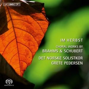 Brahms / Schubert - Im Herbst in the group MUSIK / SACD / Klassiskt at Bengans Skivbutik AB (2035875)