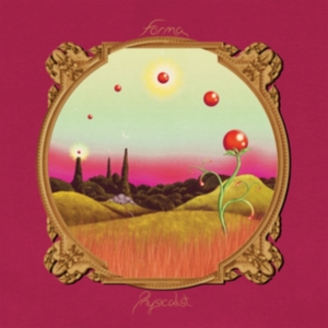 Forma - Physicalist in the group CD / Pop-Rock at Bengans Skivbutik AB (2057098)