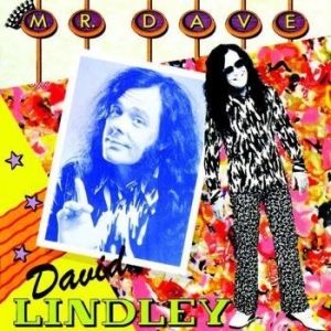 Lindley Dave - Mr. Dave in the group CD / Pop-Rock at Bengans Skivbutik AB (2060670)