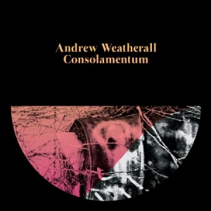 Weatherall Andrew - Consolamentum in the group CD / Dans/Techno at Bengans Skivbutik AB (2060763)