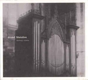 Marhaug / Asheim - Grand Mutation in the group CD / Pop at Bengans Skivbutik AB (2060942)