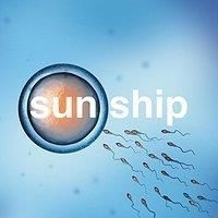 Brian Jonestown Massacre - Sun Ship The in the group VINYL / Vinyl Singles at Bengans Skivbutik AB (2060989)