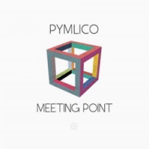 Pymlico - Meeting Point in the group OUR PICKS / Stocksale / CD Sale / CD POP at Bengans Skivbutik AB (2061061)