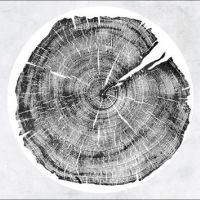 Montgomery Roy - M: Darkmotif Dancehall in the group VINYL / Pop-Rock at Bengans Skivbutik AB (2069887)