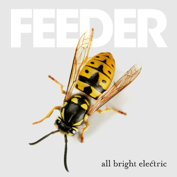 Feeder - All Bright Electric (Deluxe Edition in the group VINYL / Bestsellers at Bengans Skivbutik AB (2070749)