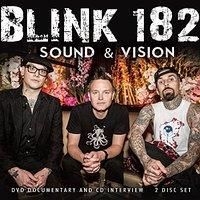 Blink 182 - Sound And Vision (Dvd + Cd Document in the group Minishops / Blink 182 at Bengans Skivbutik AB (2071922)