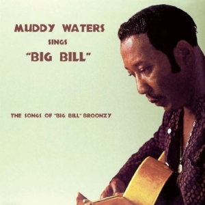Waters Muddy - Sings Big Bill in the group CD / Jazz/Blues at Bengans Skivbutik AB (2074006)