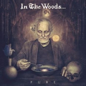 In The Woods - Pure (2 Lp) + Insert And Download C in the group VINYL / Hårdrock/ Heavy metal at Bengans Skivbutik AB (2097762)