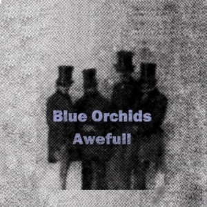 Blue Orchids - Awefull in the group CD / Rock at Bengans Skivbutik AB (2098362)