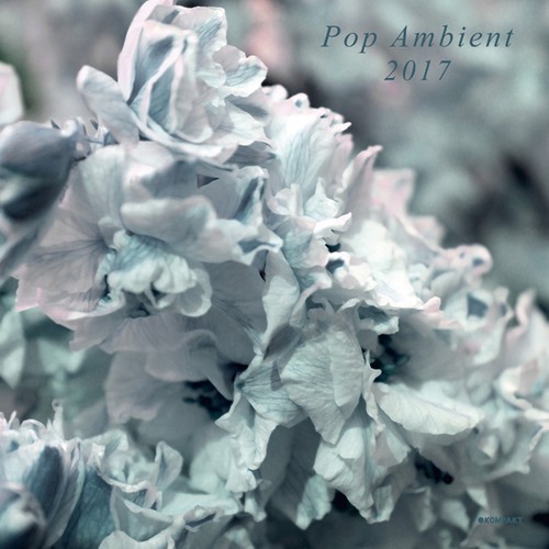 Blandade Artister - Pop Ambient 2017 in the group VINYL / Pop at Bengans Skivbutik AB (2098411)