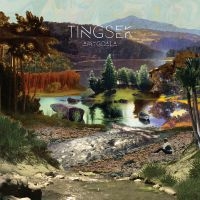 Tingsek - Amygdala in the group CD / RnB-Soul at Bengans Skivbutik AB (2098915)