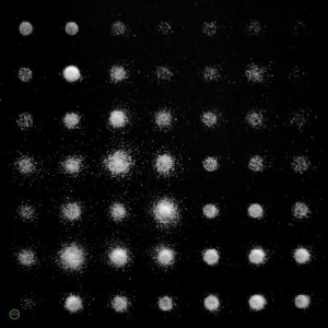 Rayon - A Beat Of Silence in the group CD / Rock at Bengans Skivbutik AB (2099351)