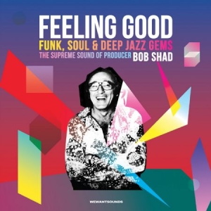 Blandade Artister - Feeling Good in the group CD / RNB, Disco & Soul at Bengans Skivbutik AB (2099359)