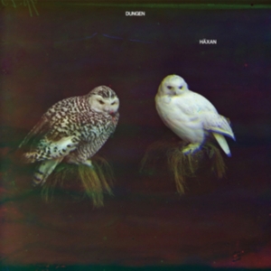 Dungen - Häxan in the group CD / Pop-Rock at Bengans Skivbutik AB (2101159)