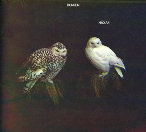 Dungen - Häxan in the group CD / Pop-Rock at Bengans Skivbutik AB (2101159)