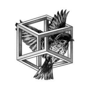 Bufi - Revelation in the group VINYL / Dance-Techno at Bengans Skivbutik AB (2113187)