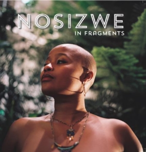 Nosizwe - In Fragments in the group VINYL / RnB-Soul at Bengans Skivbutik AB (2113478)