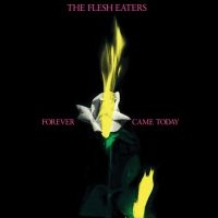 Flesh Eaters - Forever Came Today in the group VINYL / Pop-Rock at Bengans Skivbutik AB (2113483)