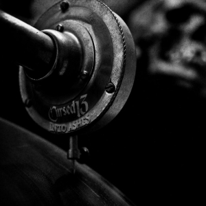 Cursed 13 - Into Ashes in the group VINYL / Hårdrock at Bengans Skivbutik AB (2249438)