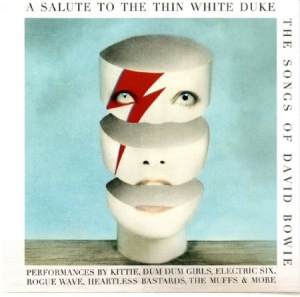Blandade Artister - A Salute To The Thin White Duke in the group VINYL / Pop at Bengans Skivbutik AB (2249677)