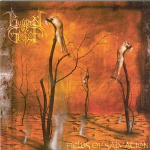 Burden Of Grief - Fields Of Salvation in the group CD / Rock at Bengans Skivbutik AB (2249838)