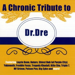 Blandade Artister - A Chronic Tribute To Dr. Dre in the group CD / Hip Hop at Bengans Skivbutik AB (2250035)