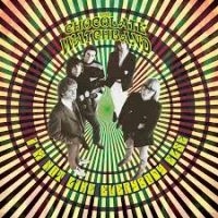 Hillage Steve - Madison Square Garden 1977 in the group VINYL / Pop-Rock at Bengans Skivbutik AB (2250327)