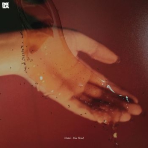 Hater - You Tried in the group OUR PICKS / Bengans Staff Picks / Nellies Autumn List at Bengans Skivbutik AB (2251235)