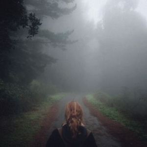 Mono - Under The Pipal Tree in the group VINYL / Pop-Rock at Bengans Skivbutik AB (2259967)