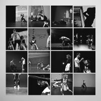 Broderick Peter - Music For Falling From Trees in the group CD / Pop-Rock at Bengans Skivbutik AB (2262967)